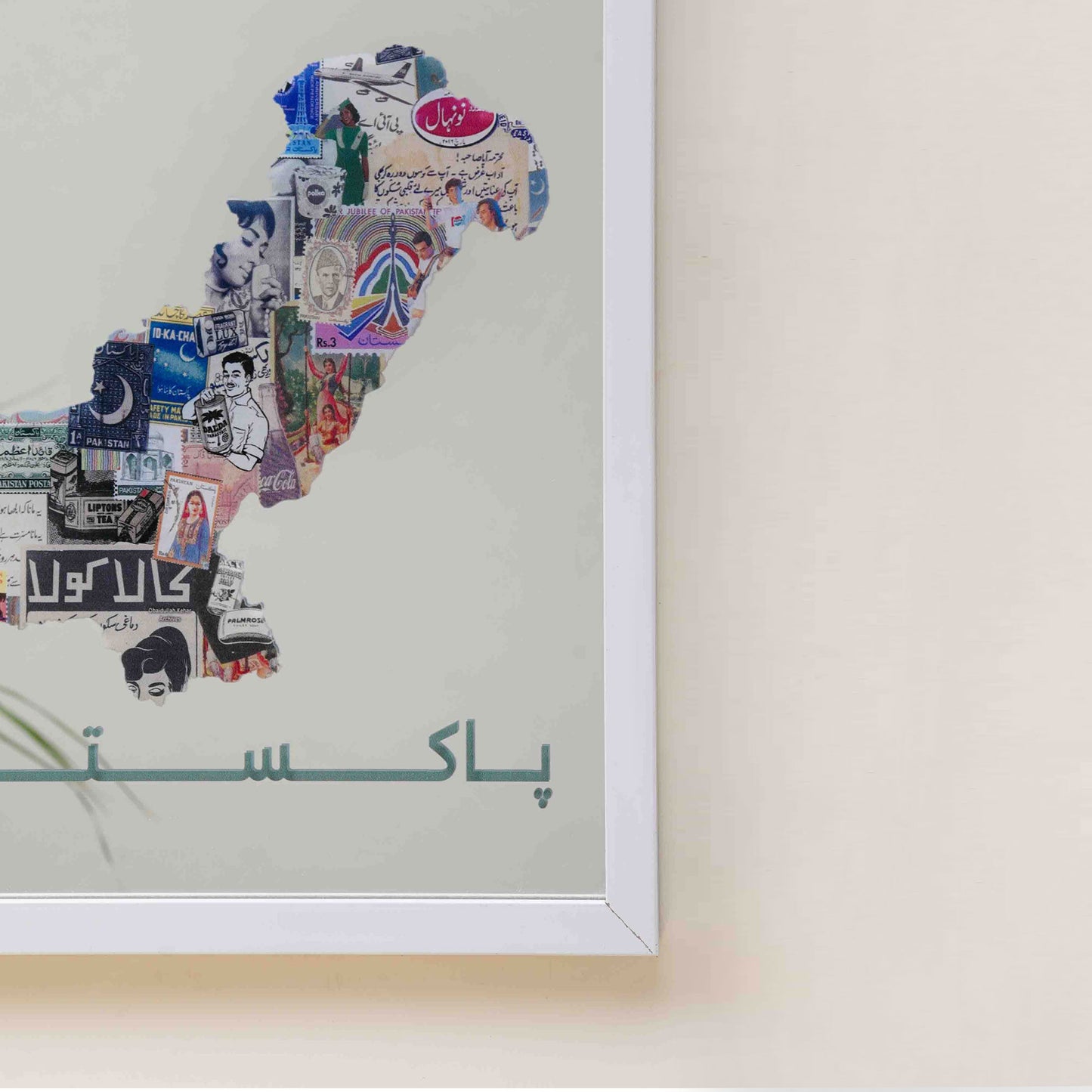 Pakistan mirror